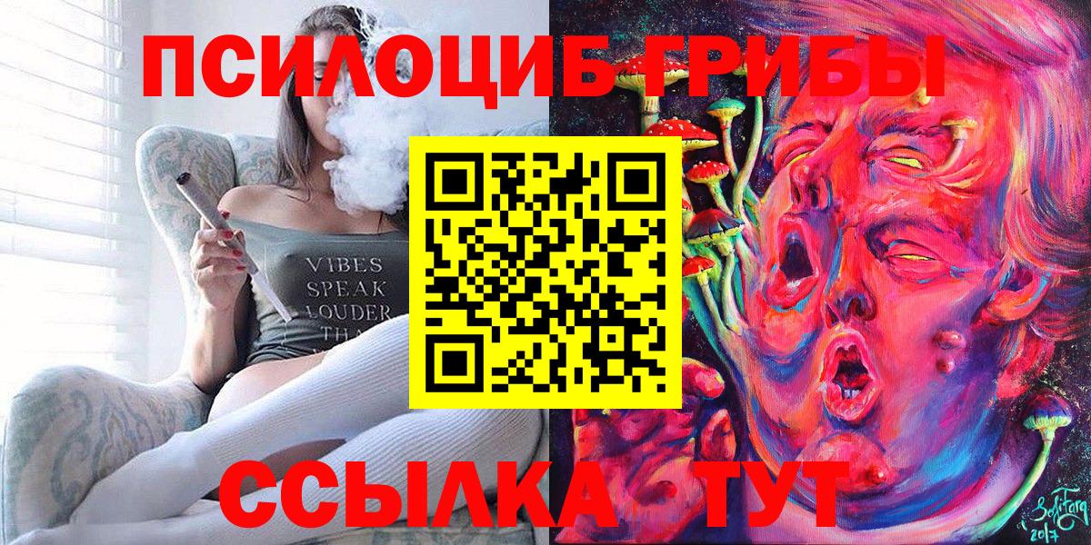 Каменка  Псилоцибиновые грибы Cubensis  Вход с VPN 